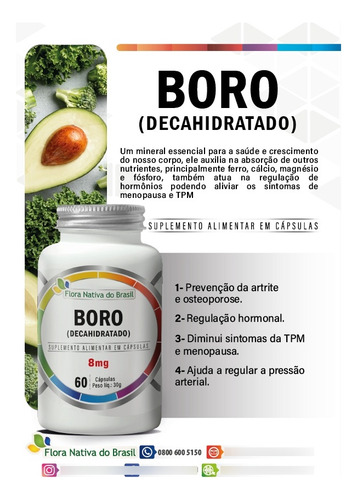 Boro Decahidratado 8g 60 Caps 500mg Sem Sabor
