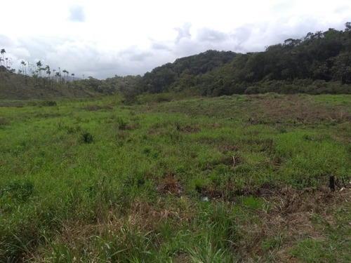 Imagem 5 de 30 de Sitio No Juquiá - St00024