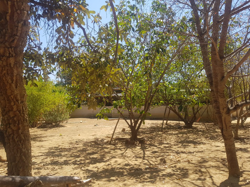 Vendo Sítio Em Cachoeira Do Choro