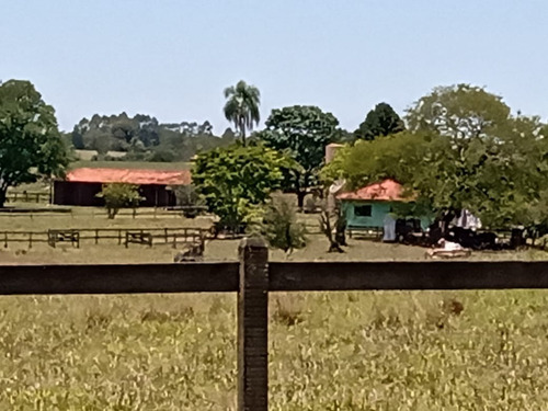 Imagem 20 de 20 de Sítio 6 Alqueires Em Angatuba Sp, Oportunidade... Com 2 Casas Sede E Caseiro... Sede 4 Quartos 3 Wc, Cozinha Sala Copa Lavanderia Garagem Para Até 3 Veículos, Barracão De Trato E L - St00008 - 687704