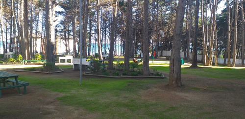 Espectacular Departamento A Pasos De La Playa