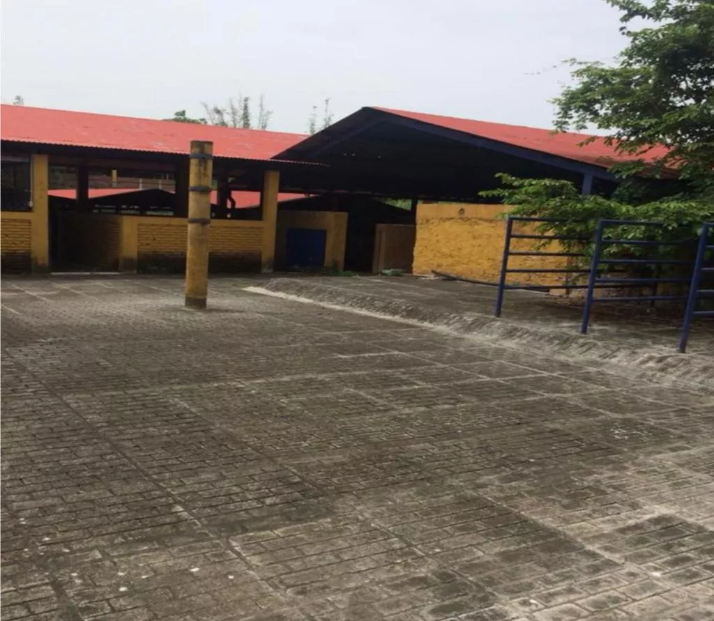 La Antigua , Rancho En Venta , Con Instalaciones Para Manejo De Ganado