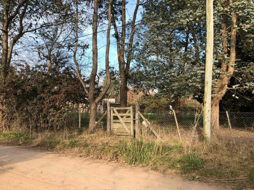 Areco - Lote Quintas -excelente 20 X 53 - U$s 93000