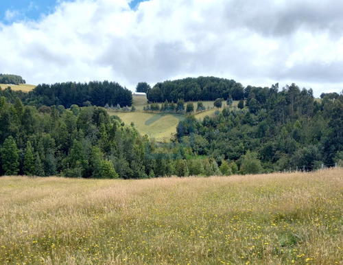 Parcela Sector El Mañio - Fresia