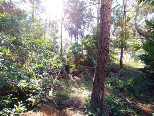 Imagen 3 de 7 de Terreno En Venta En Mar De Las Pampas
