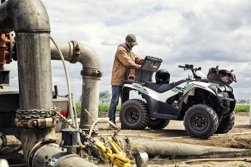 Imagen 5 de 8 de Kawasaki Brute Force 300 2022