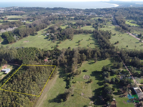 Imagen 10 de 11 de Vendo Terreno De 1 Hectárea Tipo Chacra En Laguna Del Diario, Punta Del Este