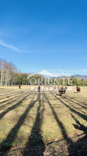 Parcelas Villarrica 5000 M2 - Segunda Faja - Colegio Ingles
