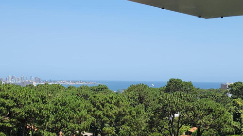 Imagen 8 de 25 de Apartamento En Edifico Ocean Drive Country A Estrenar! - Alquiler De Invierno