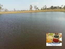 Fazenda À Venda Em Camapuã - Ms - De 830 Hectares (pecuária) - 1568