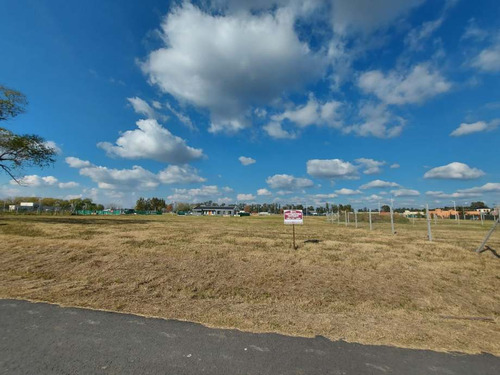 Lote En Venta En Los Alamos