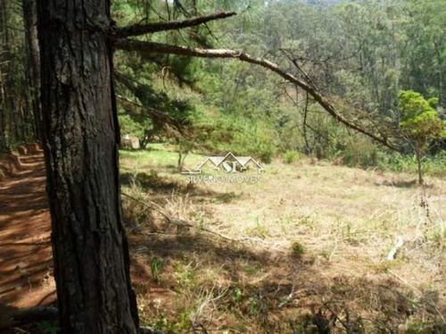 Imagem 7 de 13 de Terreno- Petrópolis, Araras - 32212