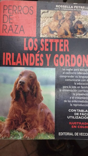 Manual Perros De Raza Los Setter Irlandes Y Gordon