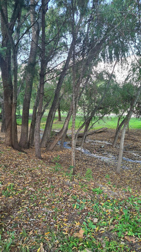 Terreno En Estancia Vieja Frente Al Arroyo