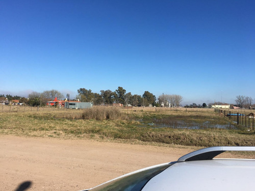 Imagen 8 de 11 de Terreno 20x50 En Tres Sargentos, Carmen De Areco