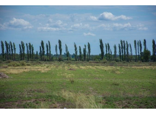 Venta Terreno / Lote El Cerrito