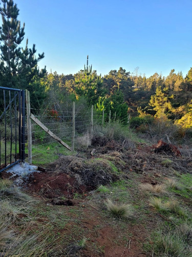 Terreno Ubicado A Menos De Un Kilometro De Algarrobo Centro