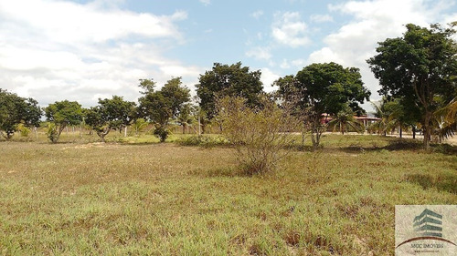 Imagem 7 de 30 de Granja A Venda Entre Monte Alegre E Brejinho