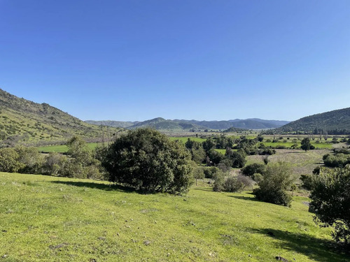 Venta Parcelas Agrado A 3 Horas De Santiago
