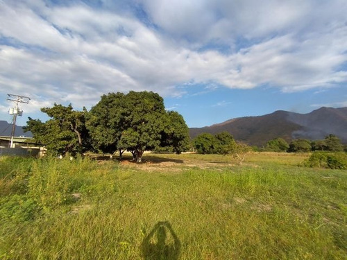 Imagen 17 de 30 de Joselyn Vargas Vende Finca Avicola En Vigirima 22-12944
