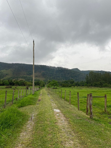 Imagem 9 de 14 de S01- 1.000m² Apenas 49.990 /100% Plano