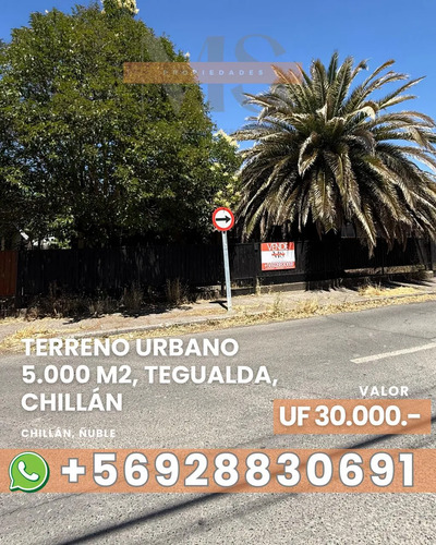 Terreno Urbano 5003 M2 Chillán