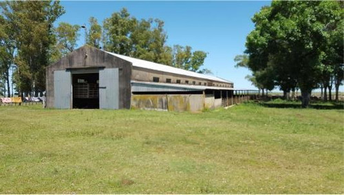 Imagen 2 de 4 de Campo - Otras