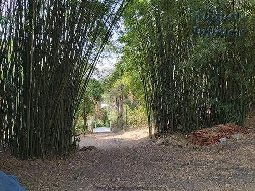 Imagem 14 de 29 de Chácaras À Venda Em Mairiporã/sp - Compre O Seu Chácaras Aqui! - 1469994