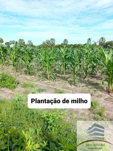 Imagem 3 de 18 de Chácara A Venda Lagoa Das Pedras, Povoado Mandú