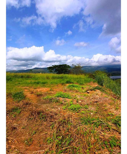 Vendo Terreno Con Vista Al Dique 1200m2 Terrazas Del Country