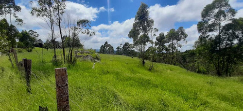 Imagem 5 de 14 de Os Melhores Terrenos No Interior De São Roque