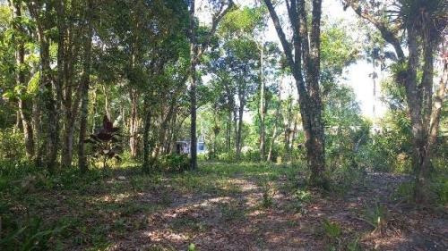Imagem 5 de 12 de Ampla Chácara Lado Serra, Itanhaém- Chácaras Glória. 9192