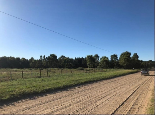 Imagen 8 de 15 de Venta 6 Hectáreas La Lucila Del Mar Loteo Campo Terreno