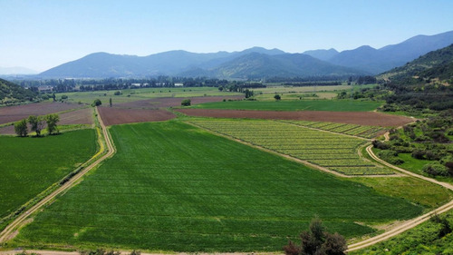Codegua, Chimbarongo, Predio De 54,49 Has Ideal Par Cerezas