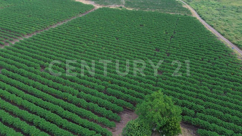 Venta Rancho Los Asmoles Colima