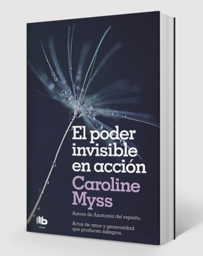 El Poder Invisible En Accion - Caroline Myss