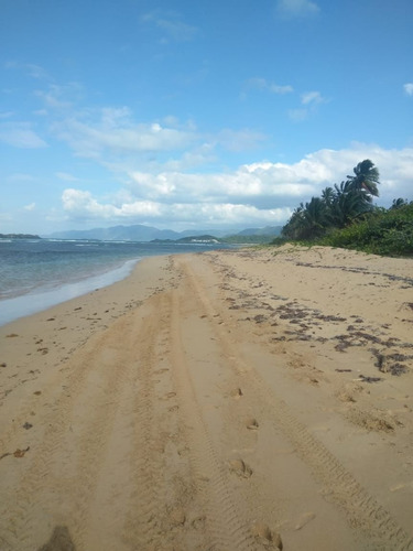 Vendo Terreno Con Playa En La Terrena Samana