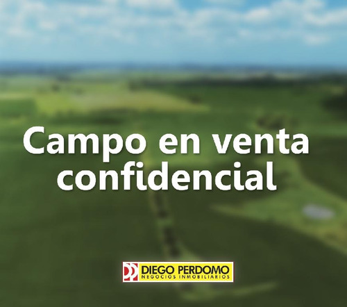 Campo De 260 Has En Venta, Libertad