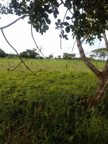 Vende-se Chácara