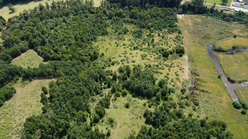 Campo En Venta En Cañitas, Los Muermos, Región De Los Lagos