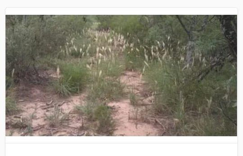 Imagen 16 de 19 de Campo - El Chacho