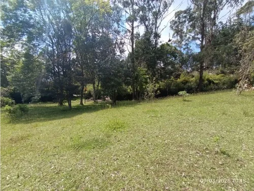 Vendo Lote En Llano Grande Vereda Cabeceras De 6.307 M² Sobre Vía