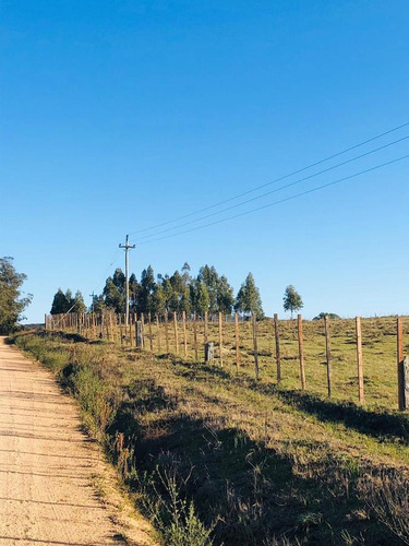 Chacra - José Ignacio