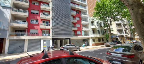 Imagen 2 de 14 de Venta/alquiler Local Comercial Barrio Sur