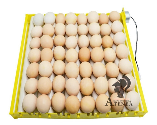 Imagen 1 de 2 de Bandeja De Volteo Automatico De 56 Huevos Incubadora Pollos