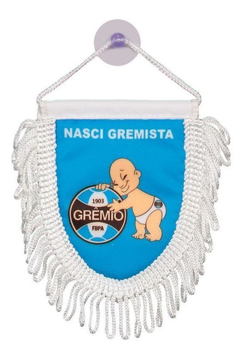 Mini Flâmula Grêmio Nasci Gremista Masculina