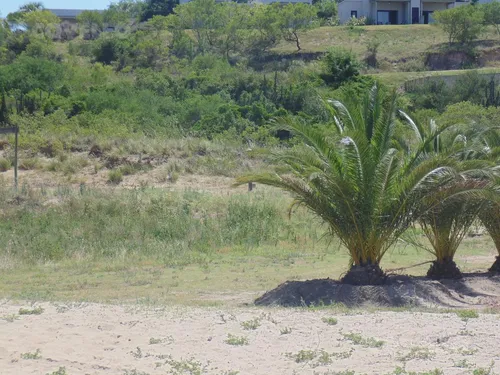 Terren, Barrio Privado, Seguridad, Puerto, Helipuerto, Playa