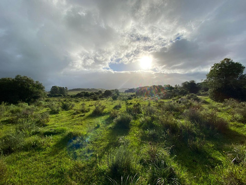 Venta De Campo, Maldonado (ref: Zen-17394)