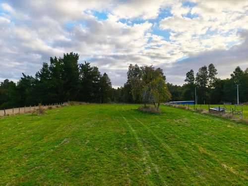Parcela En Venta Sector Runca Valdivia