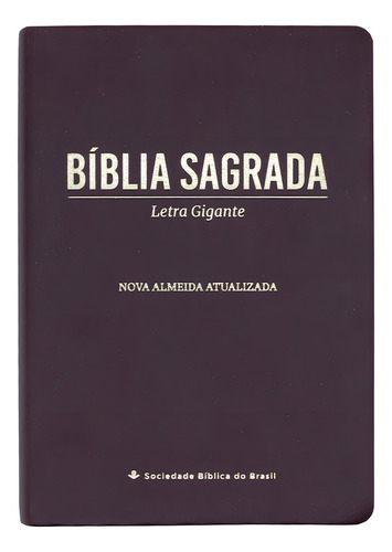Bíblia Sagrada - Naa - Letra Gigante - Capa Pu Marrom, De Vários Autores. Editorial Sociedade Bíblica Do Brasil, Tapa Mole En Português, 2023